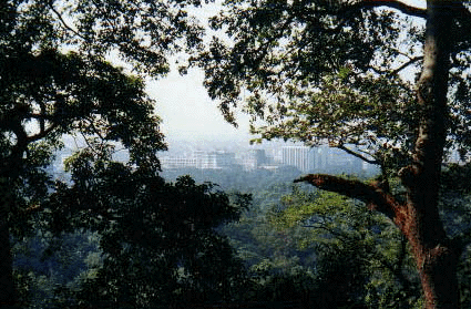 Park van Guangzhou